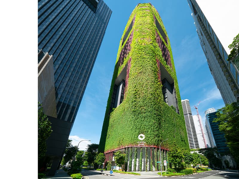 [도시설계] 🌱 지속 가능한 재료를 활용한 친환경 도시설계 사례 분석