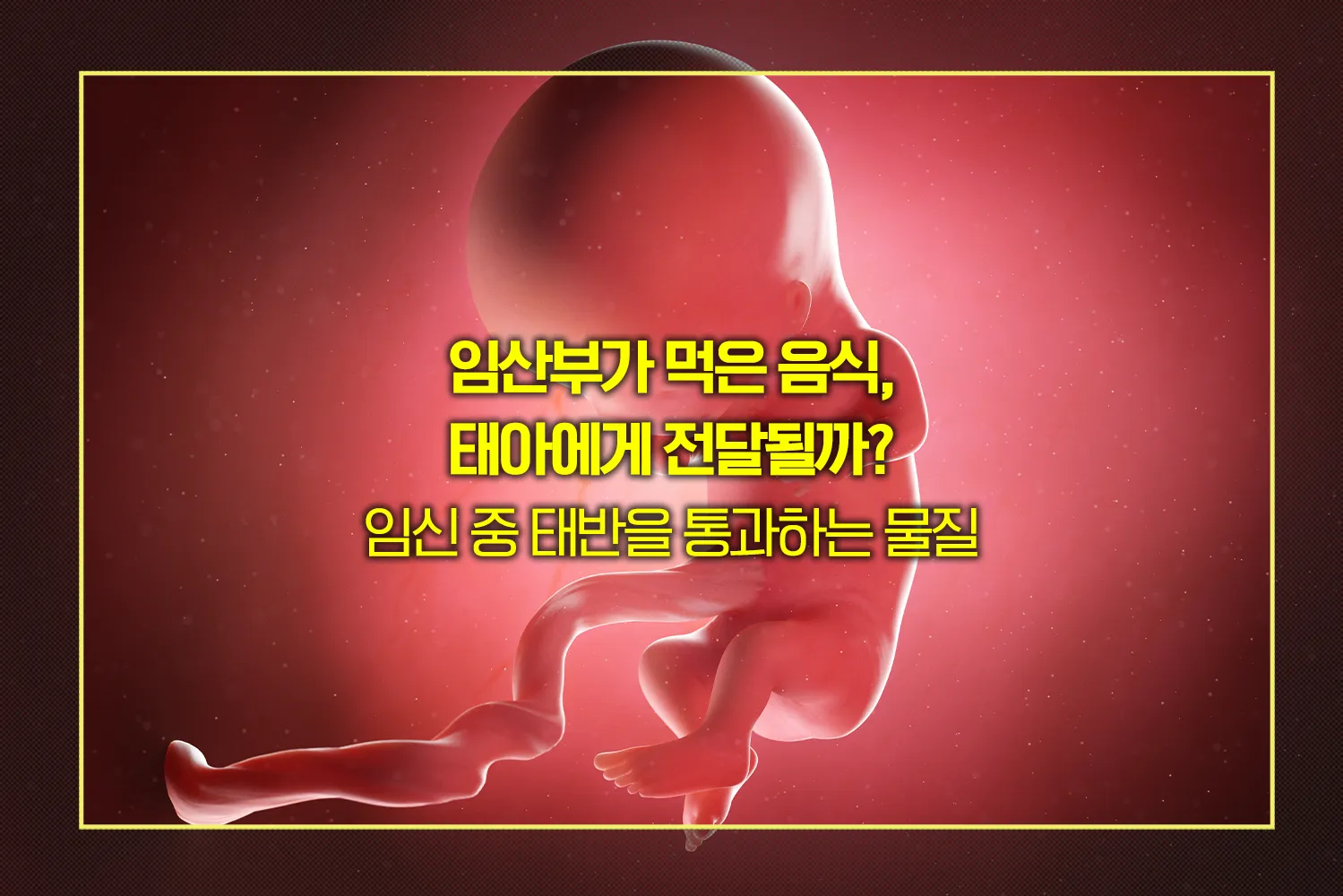 태아-전달물질-주의사항-약물-백신