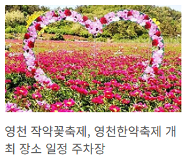 영천 작약축제