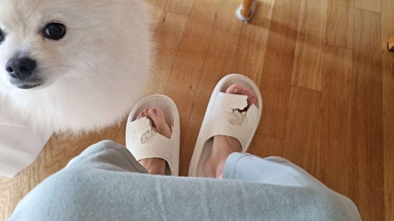 신발좀 벗어봐요.