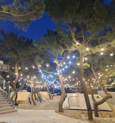 을왕리 솔트 캠핑장 저녁 모습