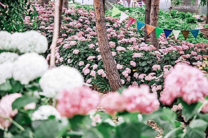 유구색동수국정원