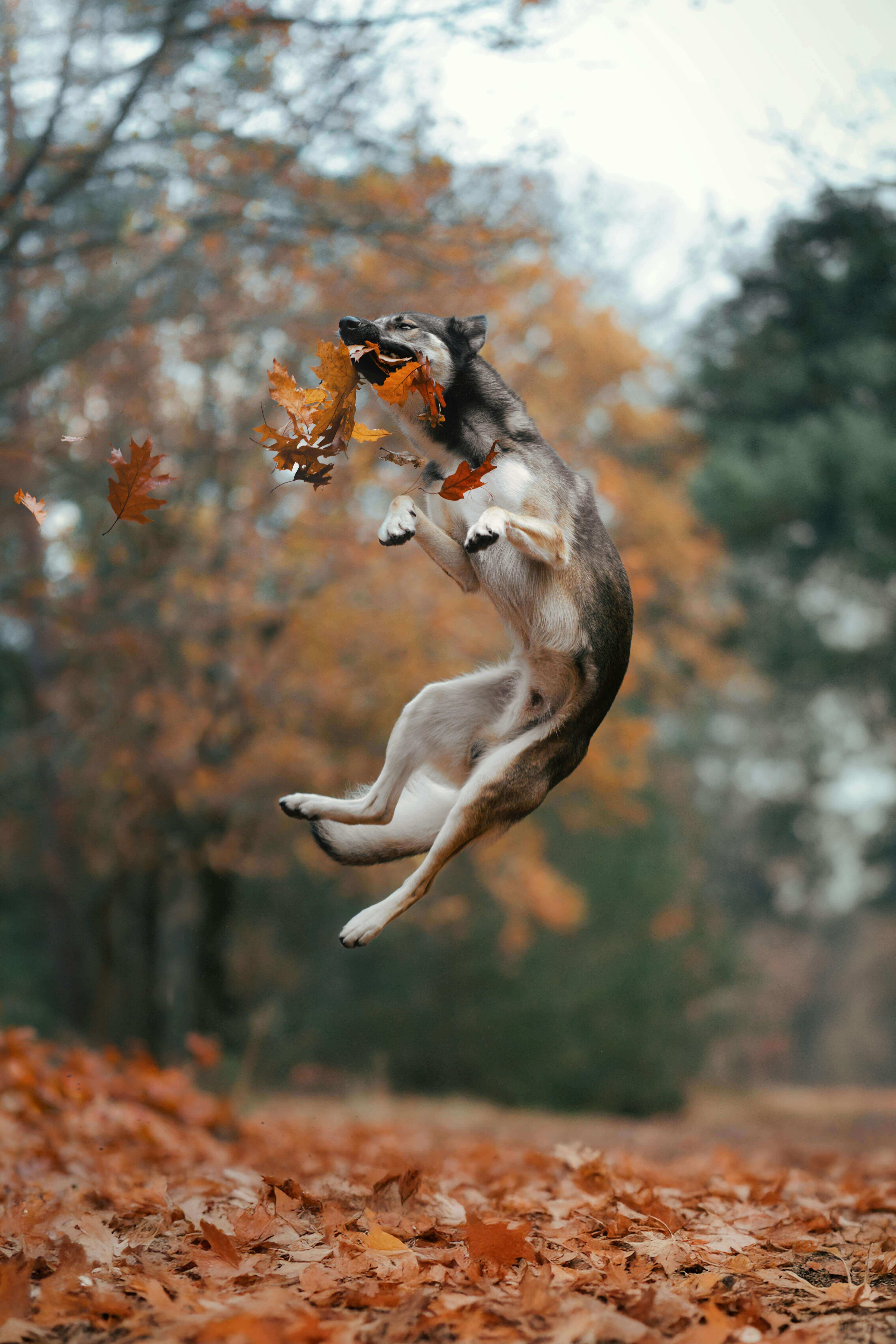 보험금 지급 지연 막으려면 │꼭 챙겨야 할 필수 서류 5가지