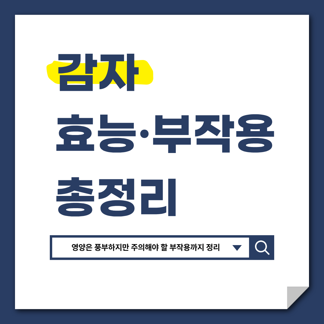감자 효능 부작용