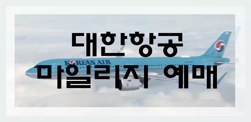 다한항공 여객기