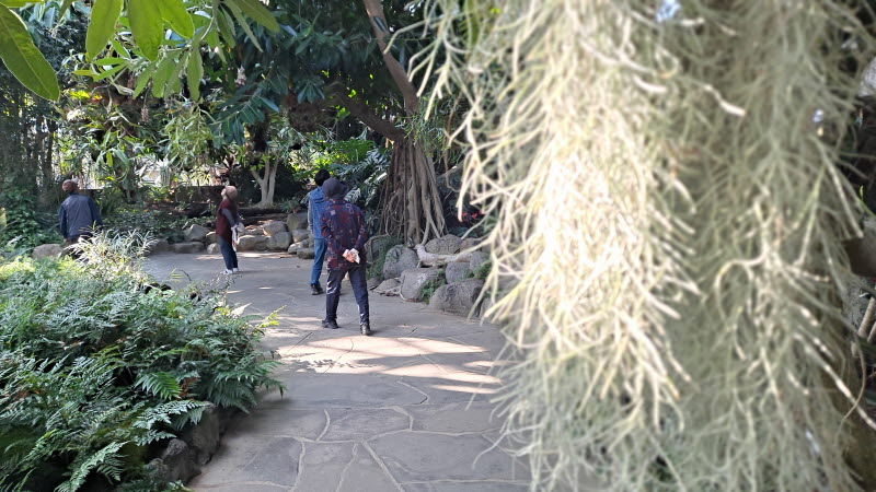 제주여행_여미지식물원