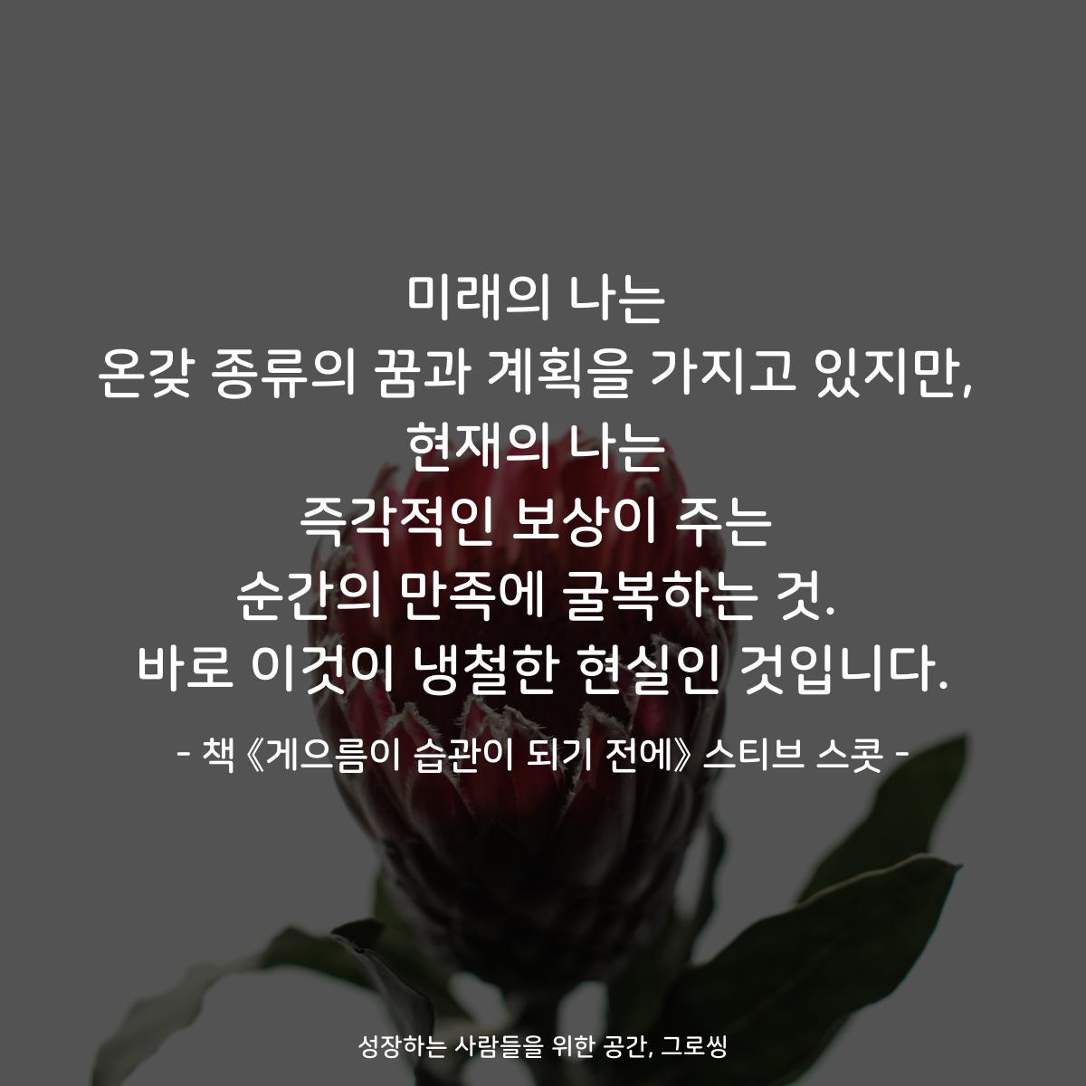 미래의 나는
온갖 종류의 꿈과 계획을 가지고 있지만,
현재의 나는
즉각적인 보상이 주는
순간의 만족에 굴복하는 것.
바로 이것이 냉철한 현실인 것입니다.