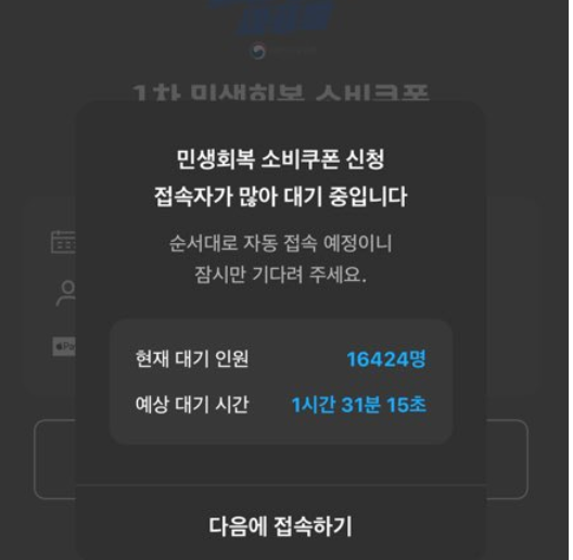 전국민 민생회복 소비쿠폰 (첫날 신청 후기+2일차 꿀팁)