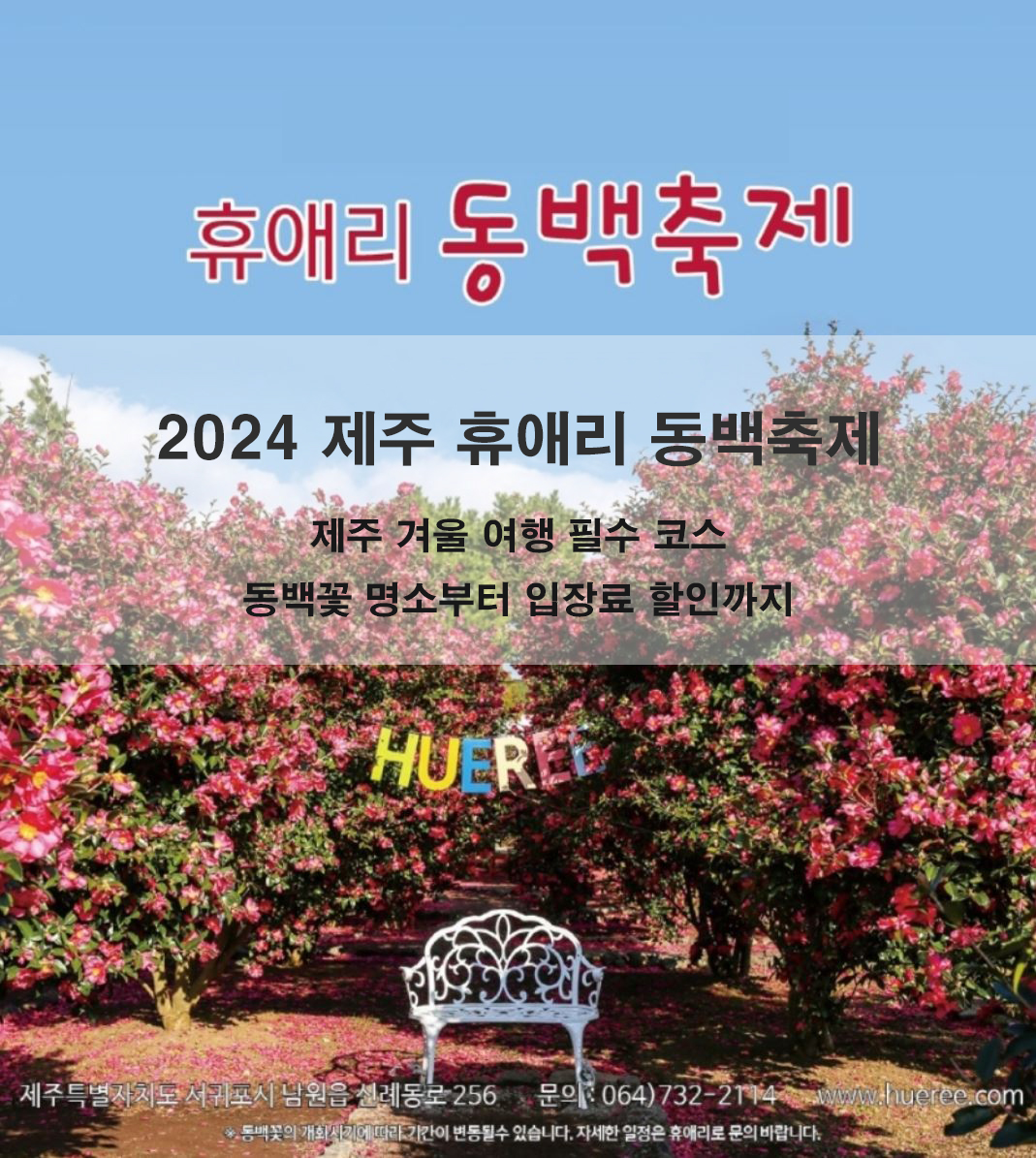 2024 제주 휴애리 동백축제 - 제주 겨울 여행 필수 코스, 동백꽃 명소부터 입장료 할인까지