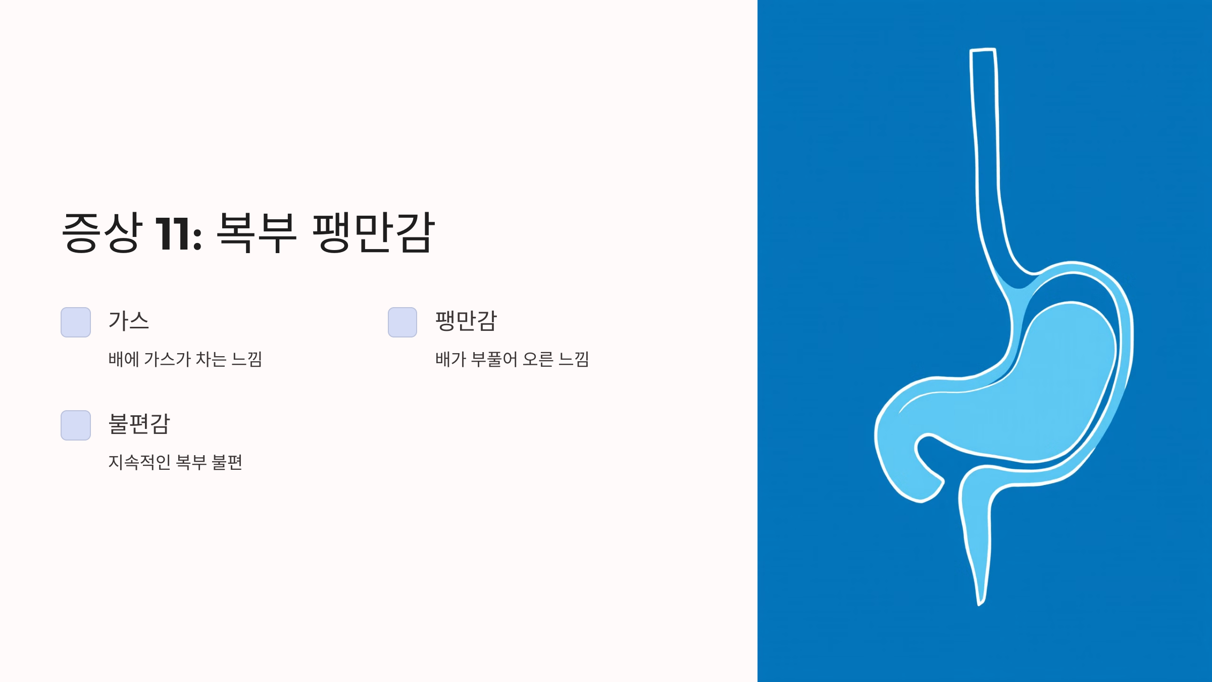 위암과 관련된 사진입니다.