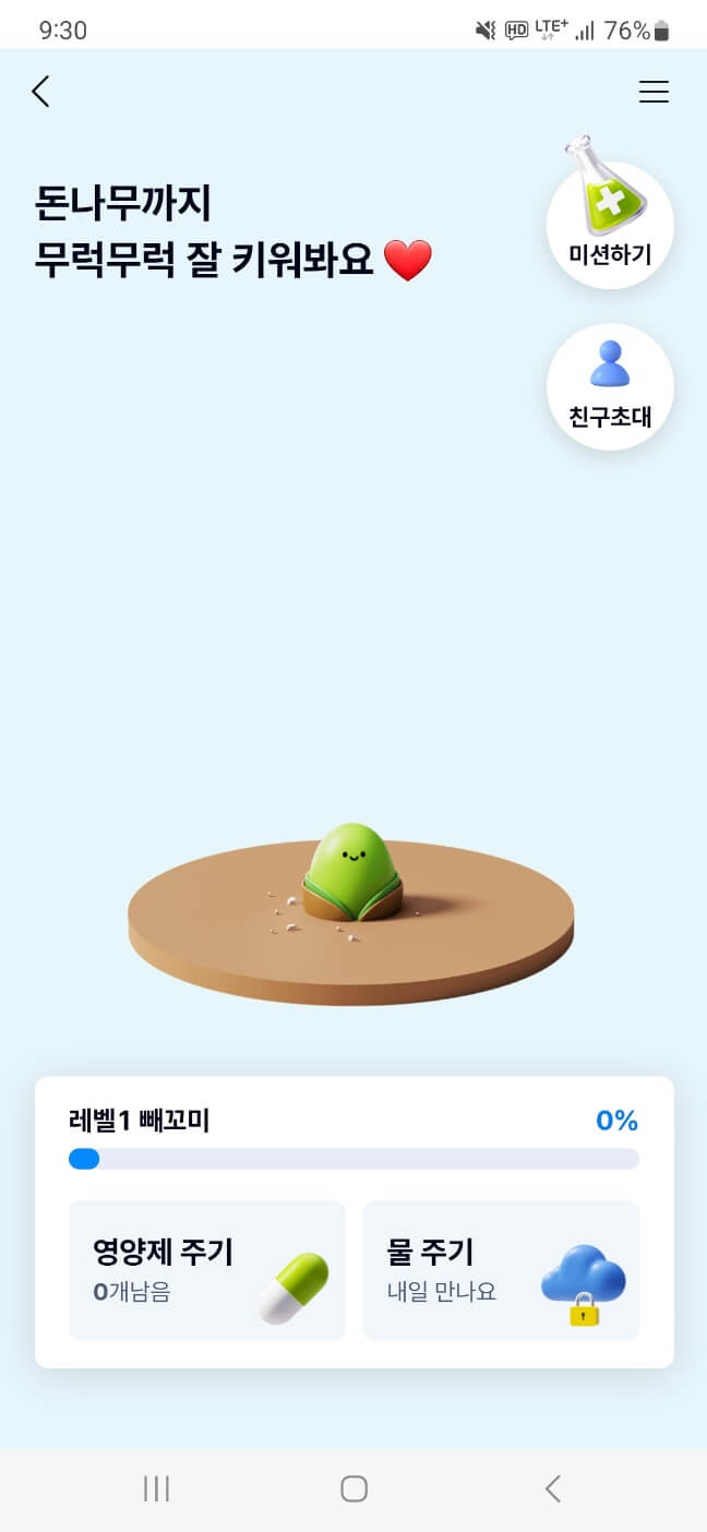돈나무 키우기
