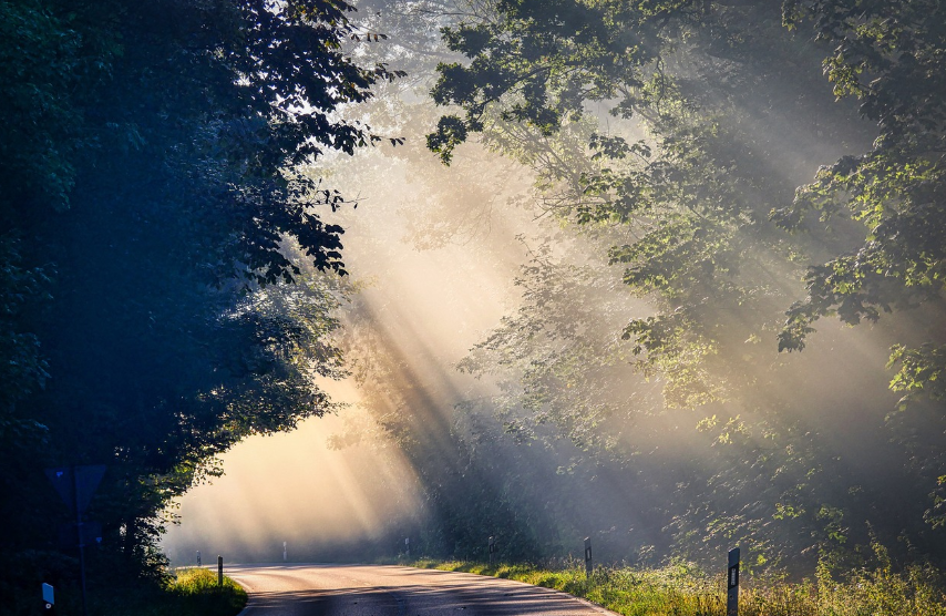 "눈이 부시게" 마케팅 전략,수상 내역,평가