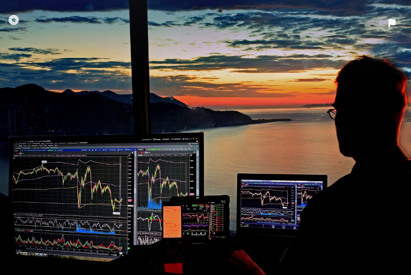 투자 관련 사진