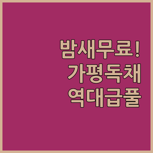 아이들이 밤새 수영해도 무료라는 가평..