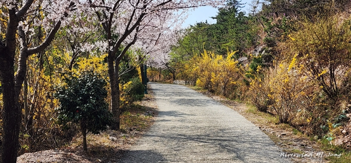 장산 등산로