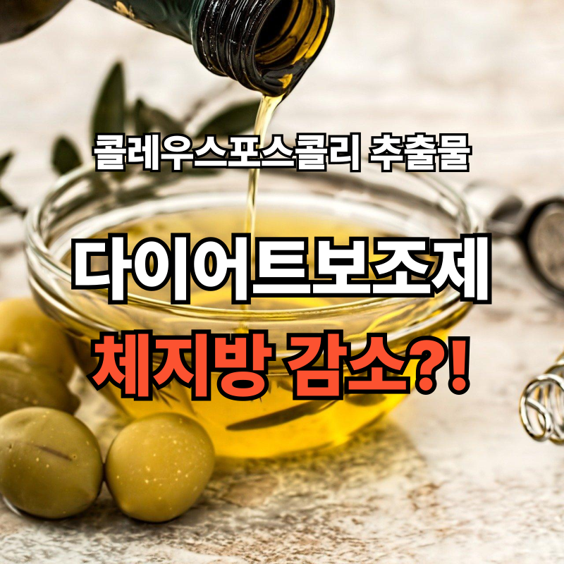 콜레우스 포스콜리 추출물 효능과 부작용, 다이어트에 정말 효과 있을까?