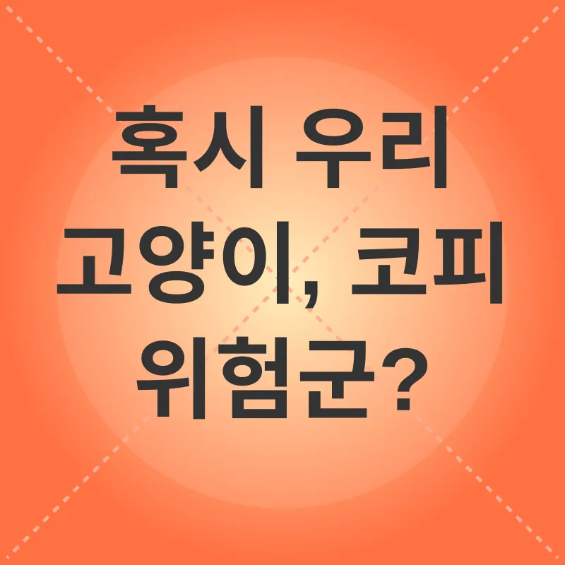 고양이 코피_1