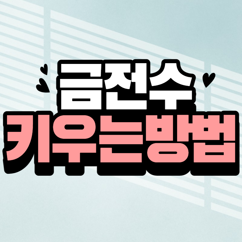 금전수 키우는 방법