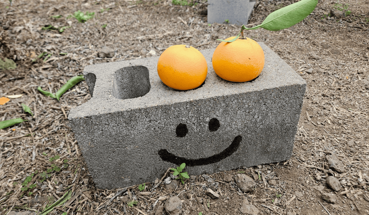 제주_땡처리_항공권_6