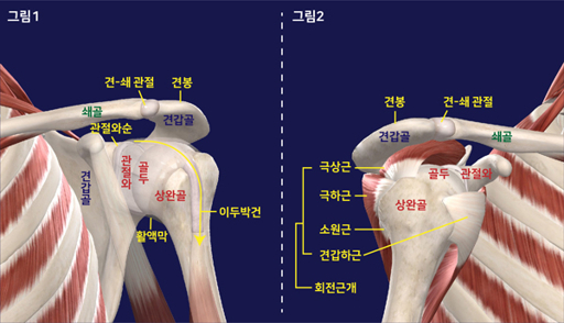 관절경수술 후 물리치료 운동 가이드