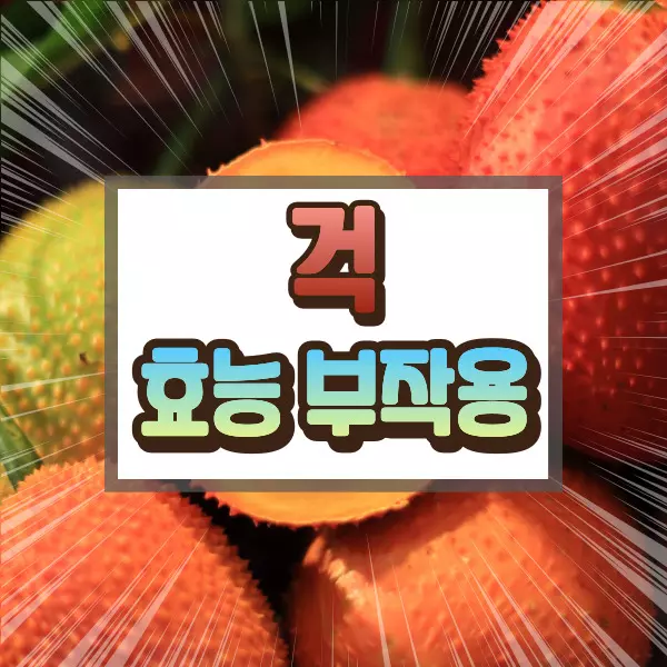 걱 효능 부작용