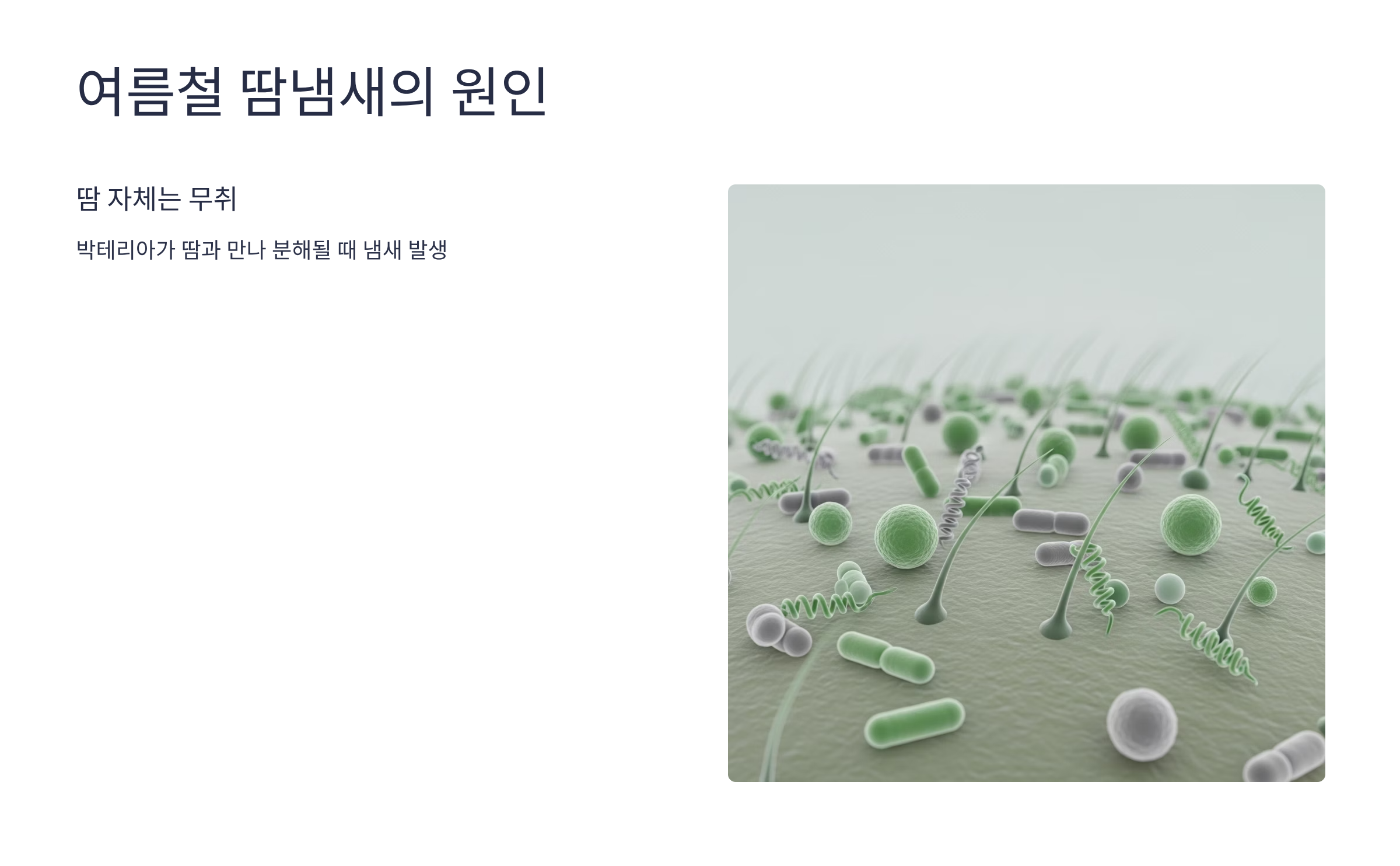 여름철 땀냄새의 원인과 특징