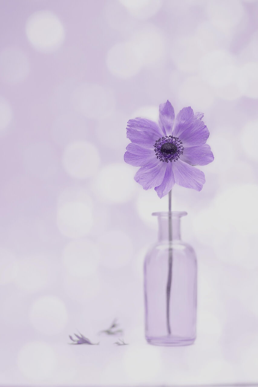 디지털 교육자료 보호법 해설 (강의저작물, 공교육, 공유금지)