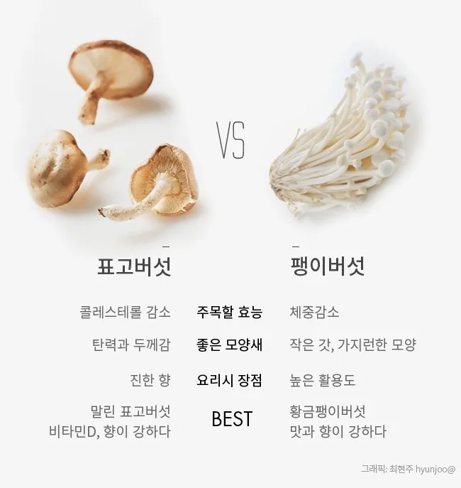 팽이버섯 효능_5