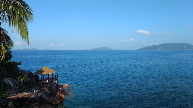 마다가스카르 vs잔지바르 vs세이셸 섬여행