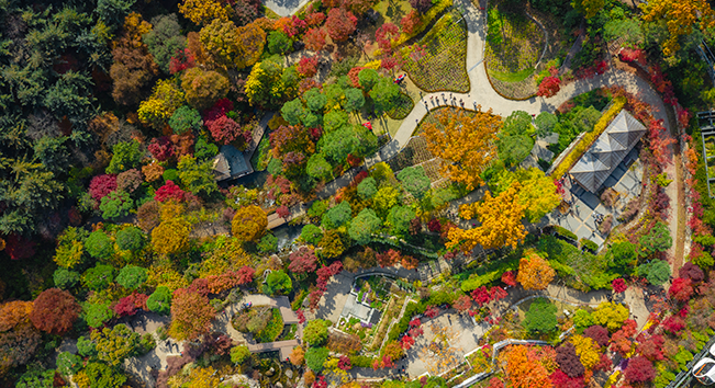화담숲 예약&amp;#44; 모노레일 예약 과 서울 인근 단풍 명소 BEST 5