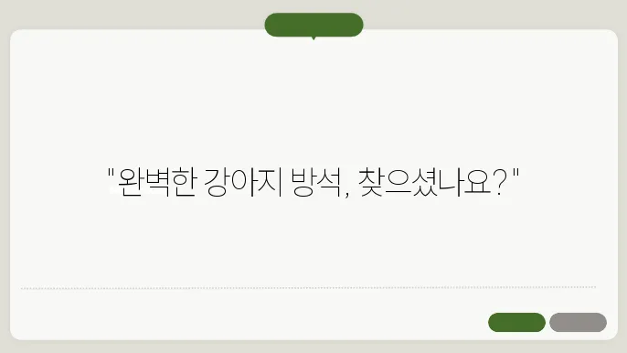 강아지 방석 당신의 반려의 위한 완벽한 개 쿠션 선택 집고씽게