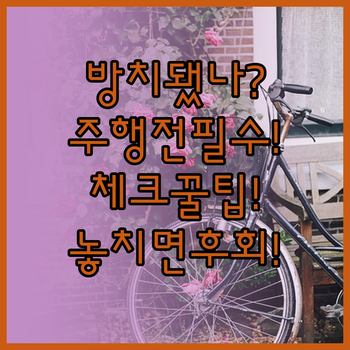 겨울 방치 자전거, 주행 전 체크리스..