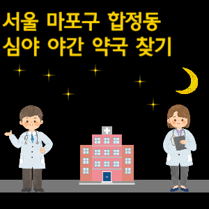 서울 마포구 합정동 심야 야간 24시 약국 찾기