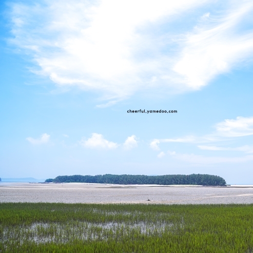 태안 가볼만한곳 베스트10