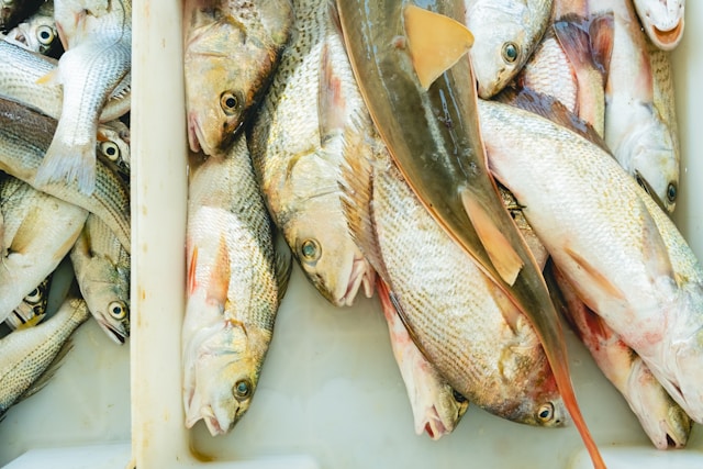 고향사랑기부제 세액공제 계산