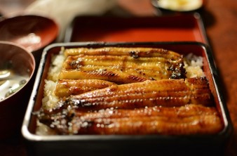 여름철 건강관리와 보양식의 중요성