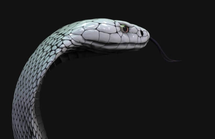 2023년뱀띠인간관계