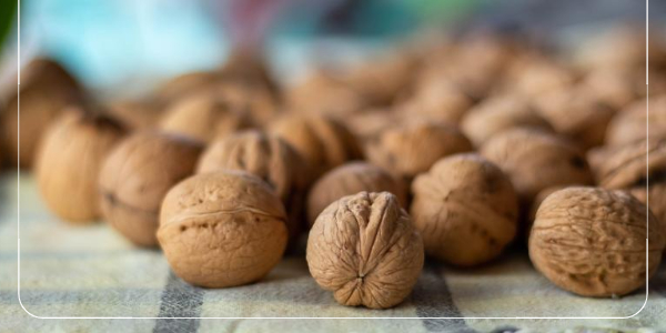 아르기닌이 풍부한 음식7