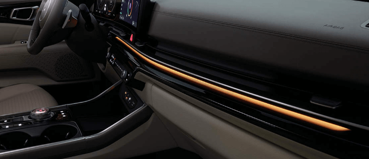 카니발 하이브리드