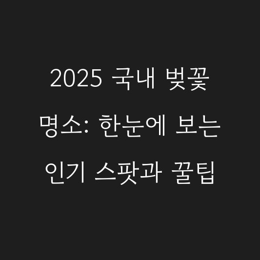 2025 국내 벚꽃 명소: 한눈에 보는 인기 스팟과 꿀팁 대표 이미지