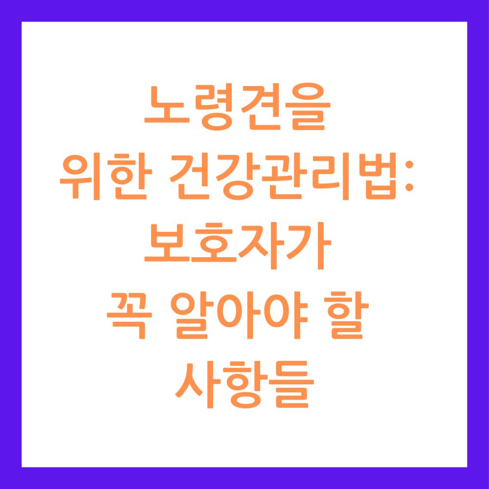 노령견을 위한 건강관리법: 보호자가 꼭 알아야 할 사항