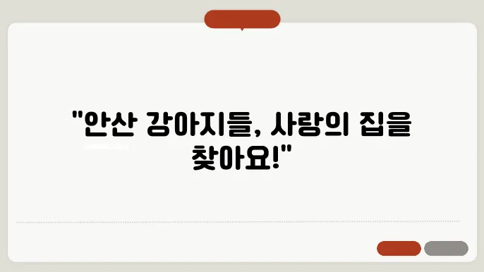 강아지 보호소 내부