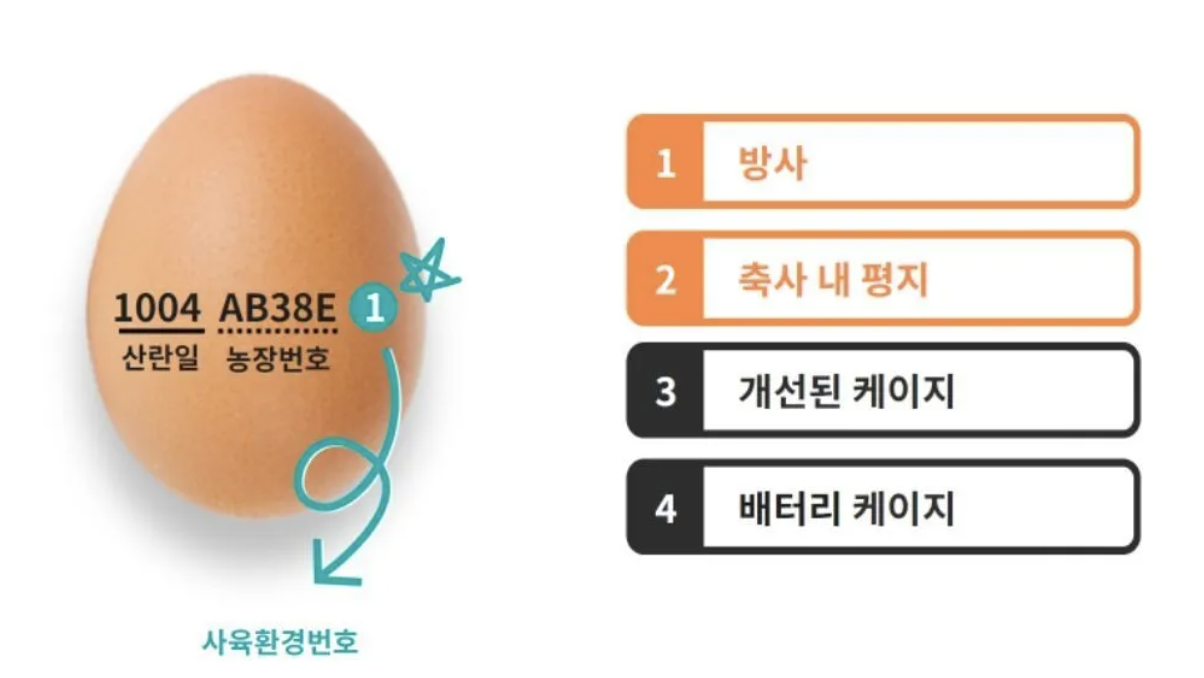 부활절 대표기도문 2025년 4월 – 주일 예배 및 절기 기도문 예시