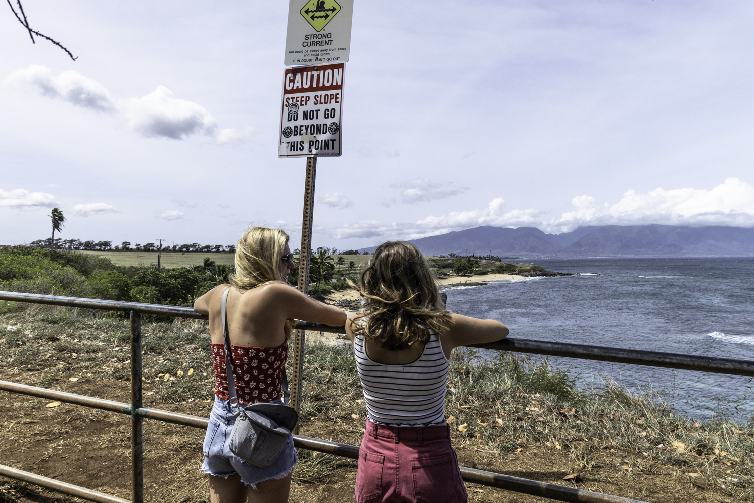 마우이 호오키파 비치 거북이 포인트