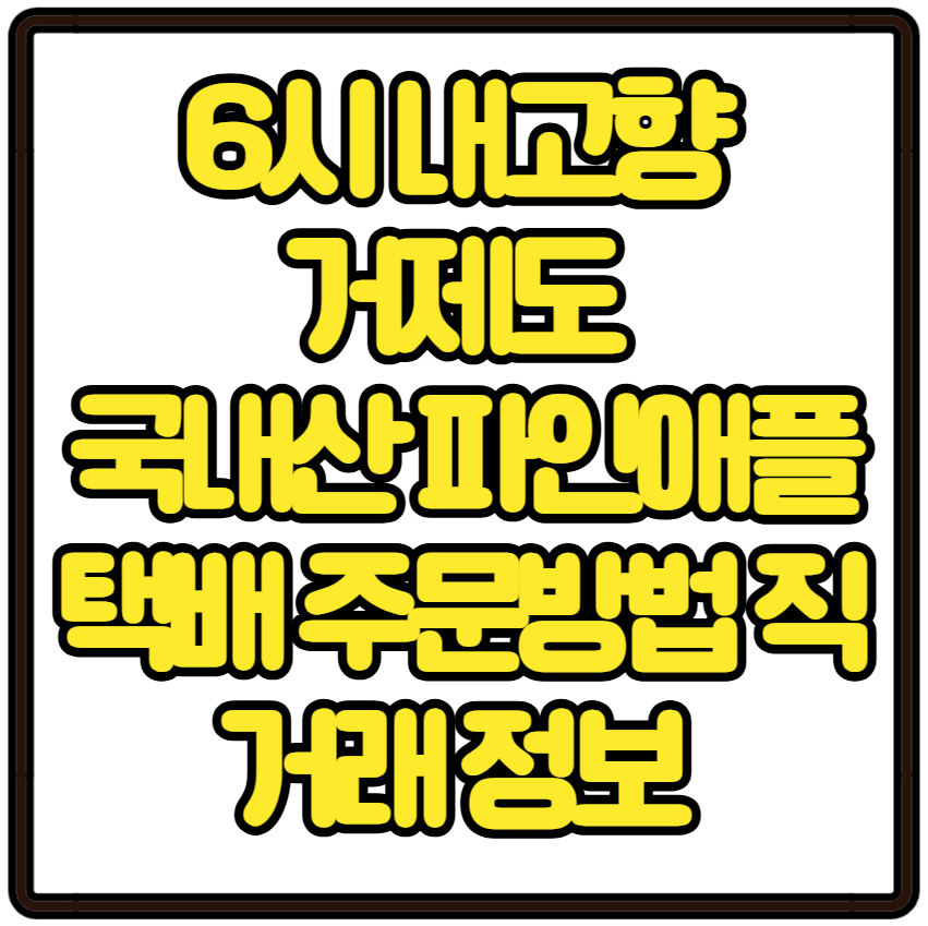 6시 내고향 거제도 국내산 파인애플 택배 주문방법 직거래 정보 바로가기