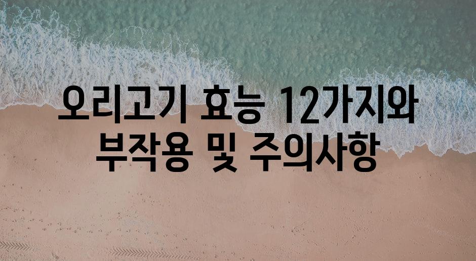 샘플 (85)