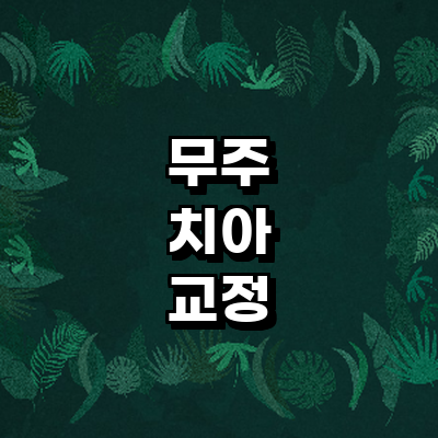 무주군 교정 치과