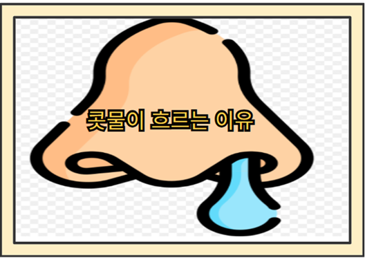 갑자기 맑은 콧물이 흐르는 이유