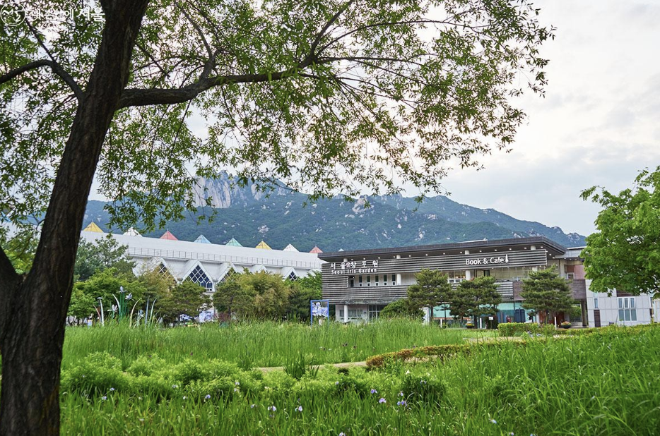 서울창포원 이미지