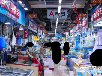 가락시장 맛집 회센터 수산시장 꽃게_9